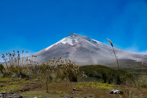Quito: Full-Day Cotopaxi Horseback Tour & Volcano Views