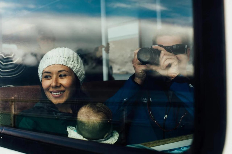 سيوارد رحلة بحرية فيوردز كيناي فيوردز الوطنية في المتنزه الجليدي والحياة البرية