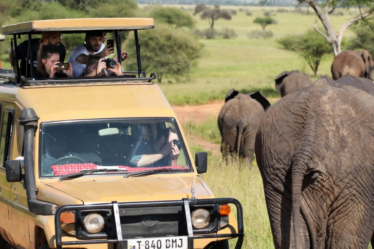 Tsavo Nationaal Park, Kenia: 5-daagse safari5- Dag Nationale Parken Tsavo Oost & West Kenia
