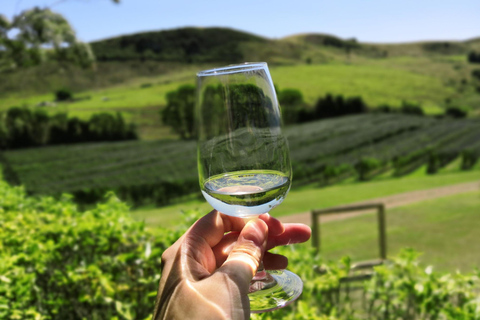 Christchurch: Waipara Wine Tour with Tastings & Lunch