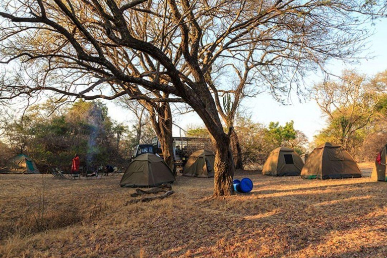 7-Day Budget Camping - Tarangire, Serengeti, Ngorongoro...