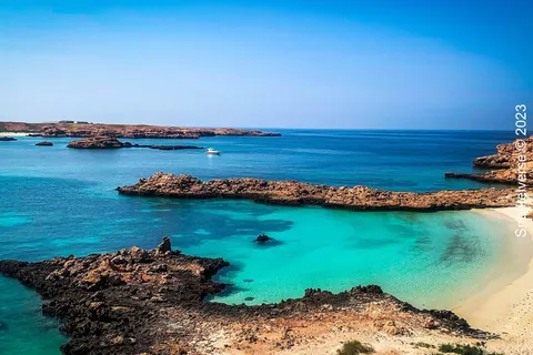Muscat: Half Day Daymaniyat Islands Snorkeling Tour