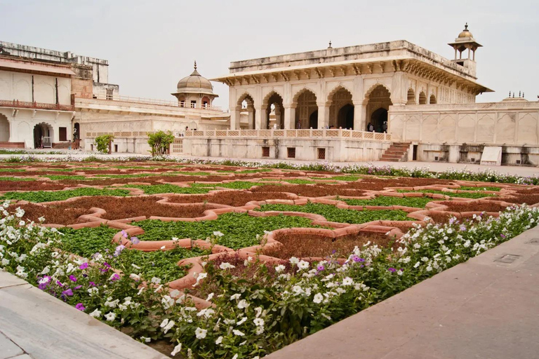 Depuis New Delhi : 2 jours à Āgrā et JaipurVisite avec guide, transport et hôtel 3 ou 4 étoiles