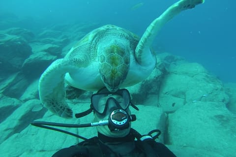 PADI Discover Scuba Diving Kurs auf Teneriffa