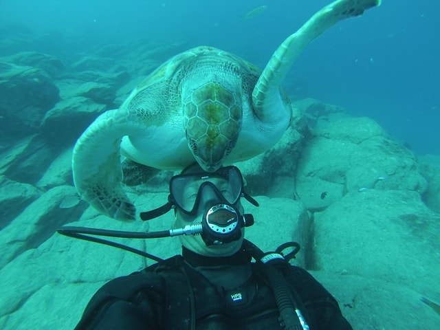 Tenerife Discover Scuba Diving Course for beginners (10+)