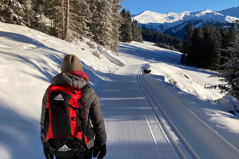 Ehrwald : Randonnée en raquettes à Zugspitze avec vue sur les montagnes