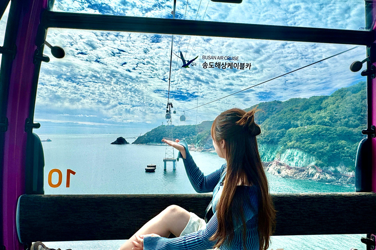 Busan: Premium Small-Group Tour for Cruise Passengers