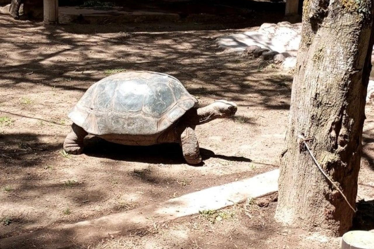 Quito: Zoo Tour with Transportation and Admission or Ticket