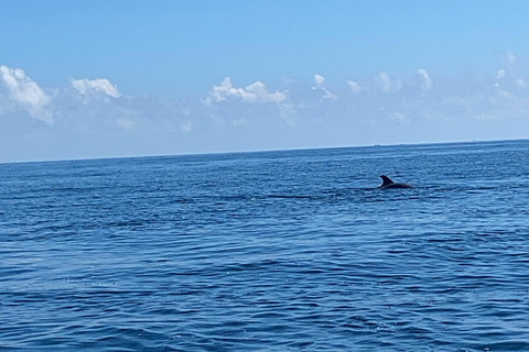 Flamingo Classic: Rio Lagartos and Las Coloradas