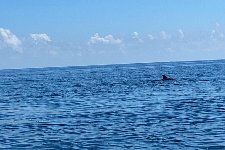 Flamingo Classic: Rio Lagartos and Las Coloradas