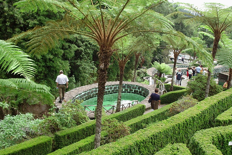 Rundtur på östra Madeira och Levada-promenadDelad tur på östra Madeira