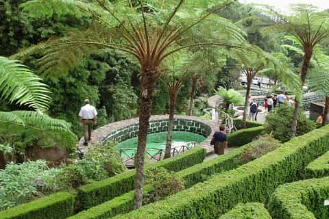 Madeira East Island Tour and Levada Walk