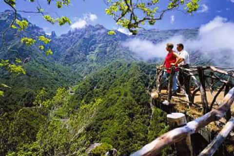 Madeira East Island Tour and Levada Walk