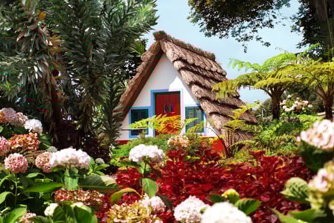 Madeira East Island Tour and Levada Walk