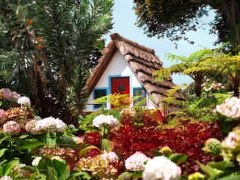 Madeira East Island Tour and Levada Walk