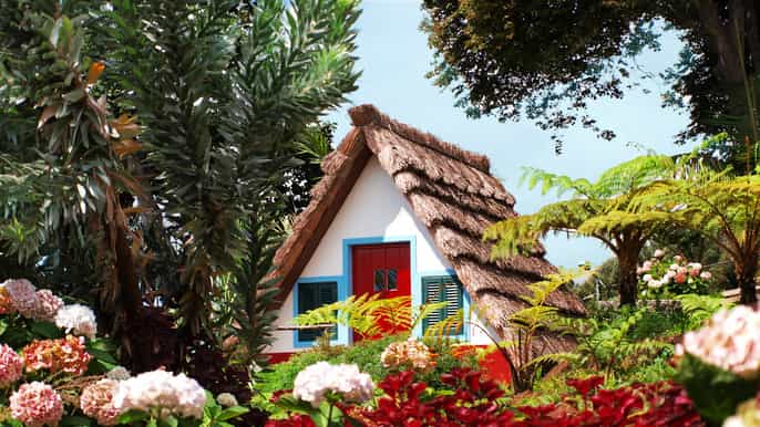 madeira east island tour and levada walk