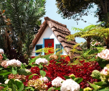 Madeira East Island Tour and Levada Walk