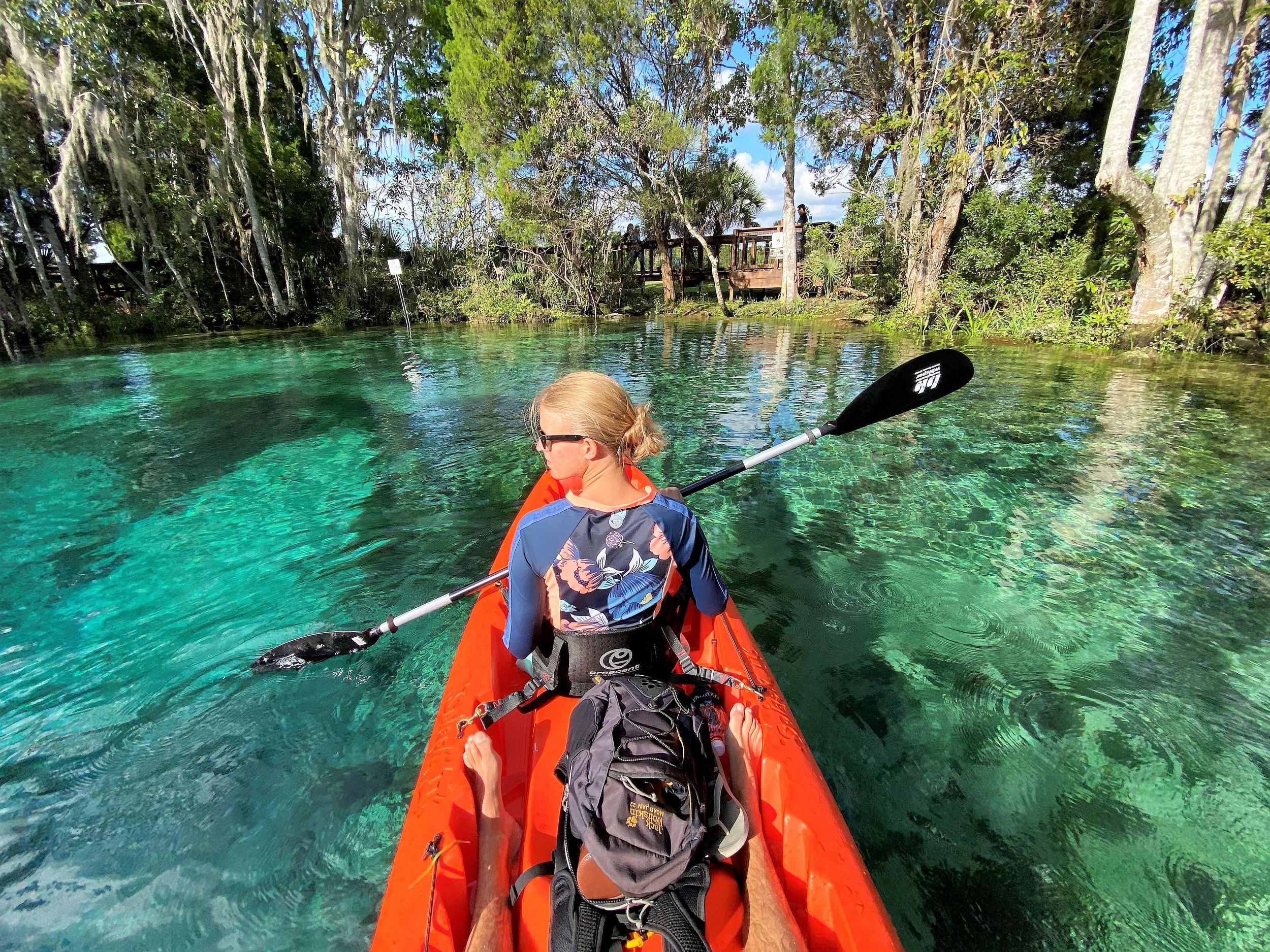 Crystal River:Three Sisters Springs Geführte Kajak- und Badetour