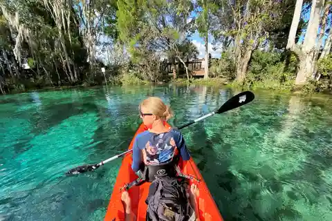 Crystal River: Guidad kajaktur i Three Sisters Springs