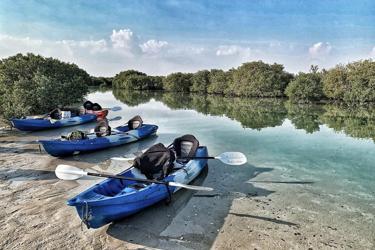 Doha: Private Purple Island Mangroves Kayaking Adventure