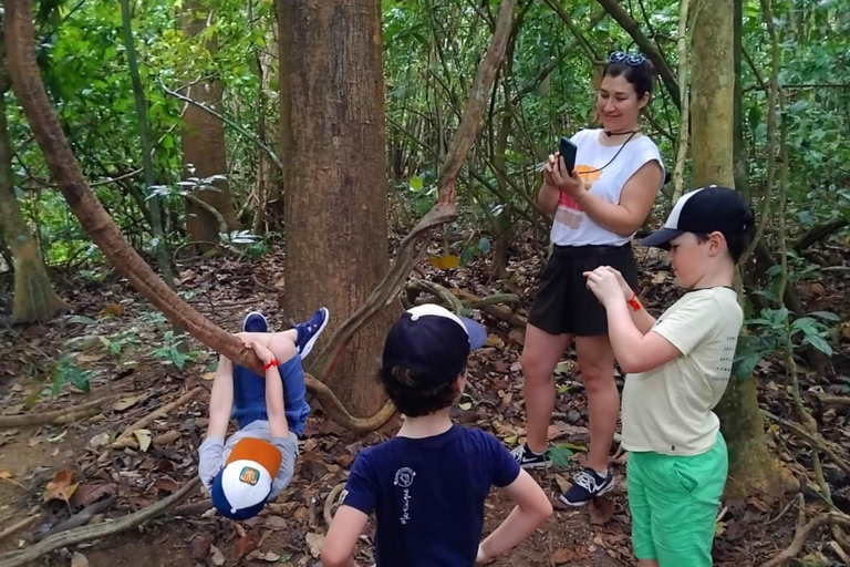 Khao Sok: Trekking privado de um dia, jantar na selva e safári noturno