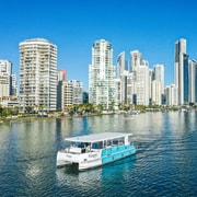 Gold Coast: Hopo Explorer Pass with Ferry and Transport