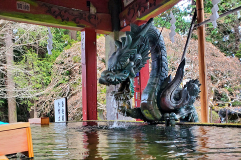 Viaje de 3 días a Tokio, el Monte Fuji y Hakone