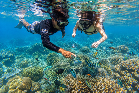 Labuan Bajo: 3-Day Komodo Sailing & Overland Tour, 12 Stops Standard Boat | 3-Day Komodo Sailing | 9 Stops | No Overland