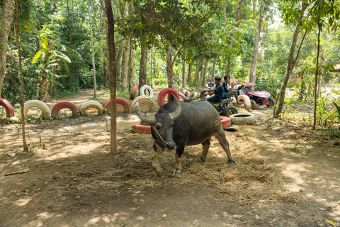 Phuket: Flying Hanuman Zipline Adventure SD4: Epic Adventure with Elephant Jungle