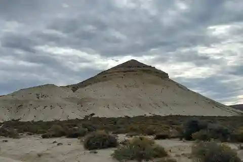 Puerto Madryn: Stadstour, trekking, zeefauna en Argentijnse empanadas