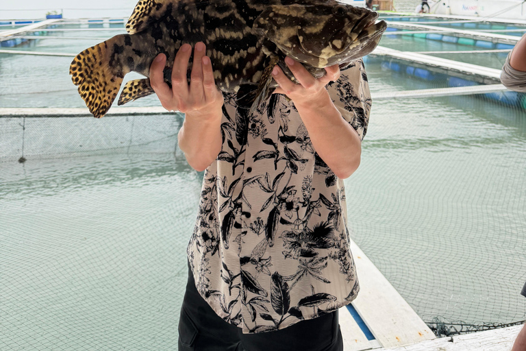 Penang: Forest Island Jet Car Tour with Dinner & Activities