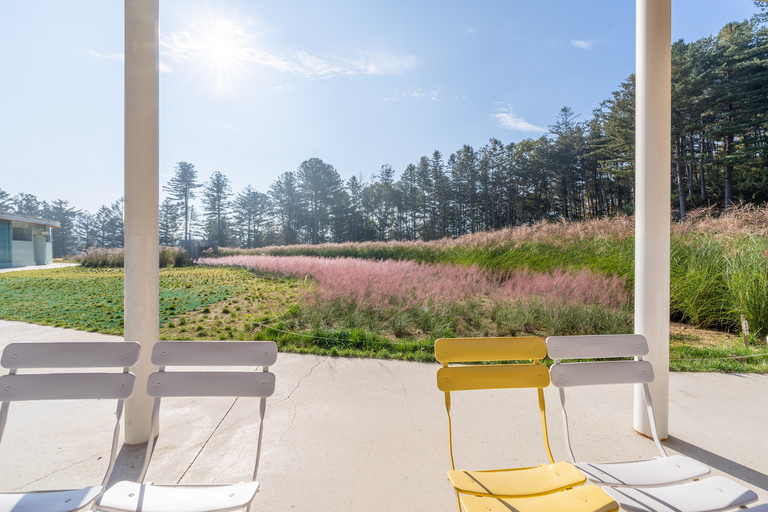 Gyeonggi: Alpaca & Sheep Ranch Admission Ticket in Gapyeong