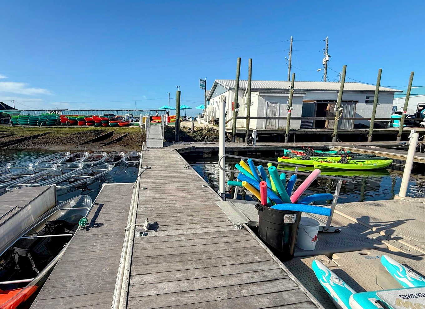 Crystal River: Three Sisters Springs Eco Tour med gennemsigtig kajak