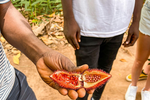 Zanzibar: Stone Town, Spice Farm and Prison Island Tour