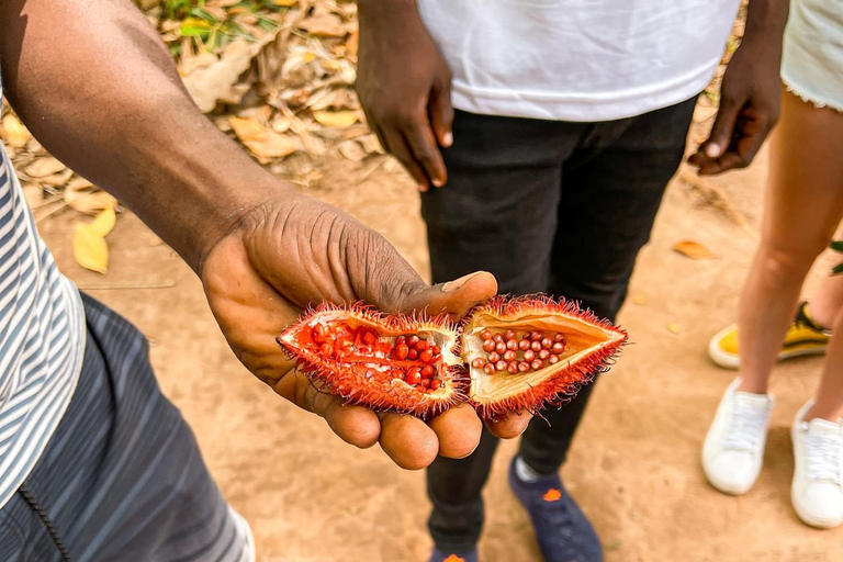 Zanzibar: Rundtur till stenstaden, kryddgården och fängelseön