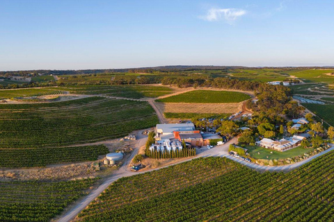 McLaren Vale North: Hop-On Hop-Off Tour City or Local Pickup Tour with Region Pickup 11:00am