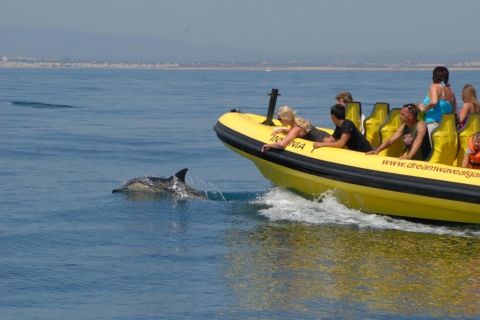 Costa del Algarve: avistamiento de delfines y tour de cuevas