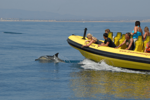 Côte de l'Algarve : grottes et observation de dauphins