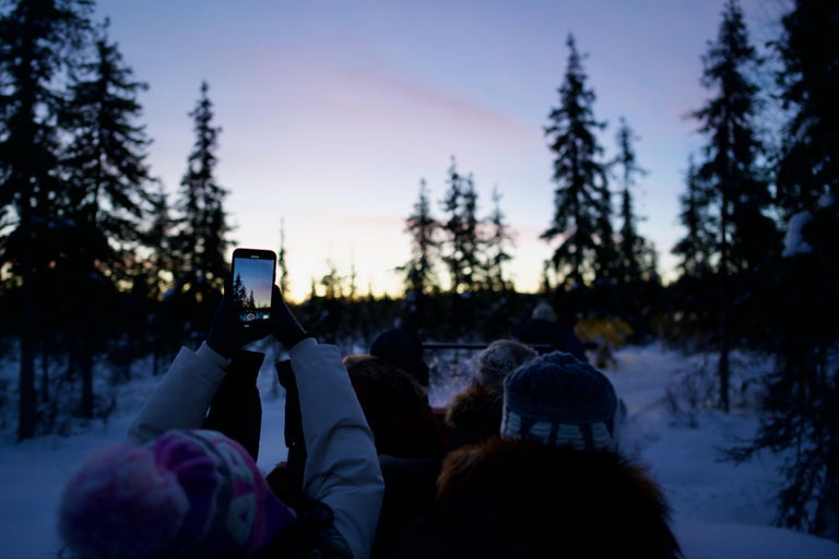 Levi: safari in slitta trainata da husky di 5 km con guida autonomaLevi: safari in slitta trainata da husky di 5 km da guidare da soli