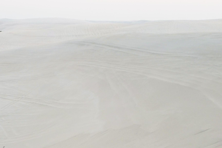 Combinaison de la ville de Doha et du safari dans le désert