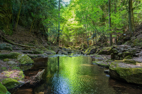 Nagoya: Soni Highlands & Akame 48 Waterfalls Guided Hike