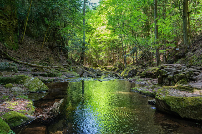 Nagoya: Soni Highlands & Akame 48 Waterfalls Guided Hike