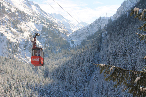 Transylvania: 2-Day Castles, Brasov & Transfagarasan