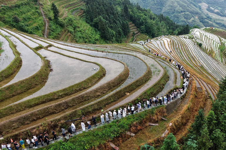 From Guilin: Longji Rice Terraces & Yao Village Day Trip Private Tour (English Driver-Guide)