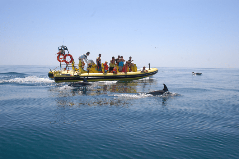 Kust van de Algarve: dolfijnen spotten & grottentour