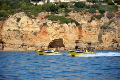 Costa del Algarve: avistamiento de delfines y tour de cuevas