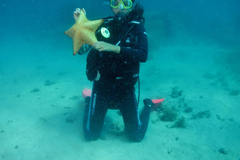 Nurkowanie w Paraty w Ocean Reefs – 45-minutowa wycieczka