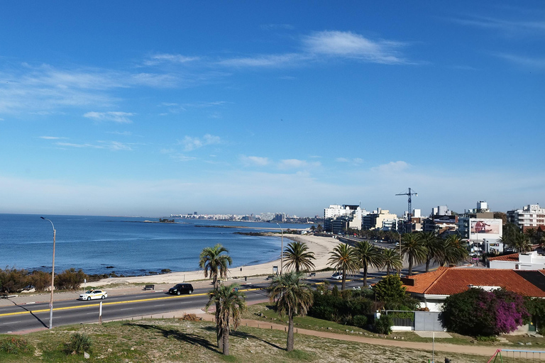 Montevideo from Buenos Aires -Unique Private Tour ExperienceMontevideo from Buenos Aires - Unique Day Tour Experience