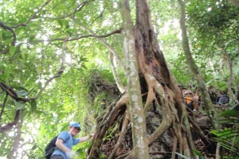 kuala lumpur dragonback trek