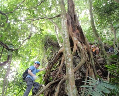 kuala lumpur dragonback trek